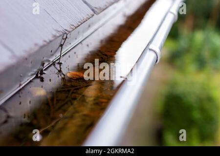 Nahaufnahme eines verstopften Dachrinnen voller Regenwasser an einem regnerischen und bewölkten Tag. Der Boden des Abflusses ist voll von Blättern und anderen Nat Stockfoto