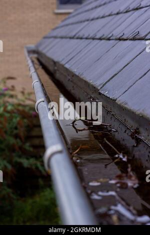 Ein Porträt einer verstopften Dachrinne voller Regenwasser an einem regnerischen und bewölkten Tag. Der Boden des Abflusses ist voller Blätter und anderer natürlicher Waste Stockfoto