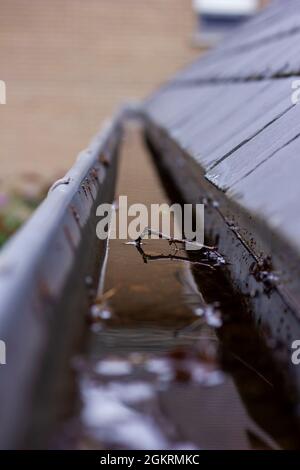 Ein Porträt einer verstopften Dachrinne voller Regenwasser an einem regnerischen und bewölkten Tag. Der Boden des Abflusses ist voller Blätter und anderer natürlicher Waste Stockfoto