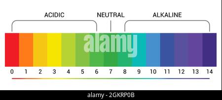 PH-Skala Indikator Diagramm sauren alkalischen Messung. PH-Analyse Vektor chemischen Skala Wert Test Stock Vektor