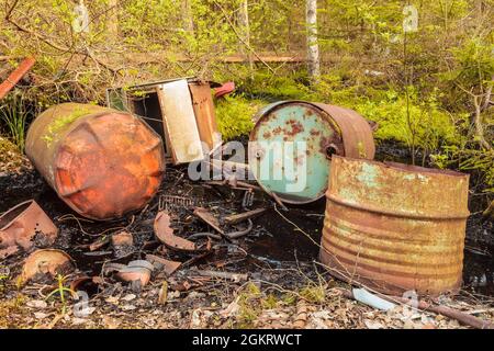 Fässer mit giftigen Abfällen, die in einem Wald zurückgelassen wurden Stockfoto