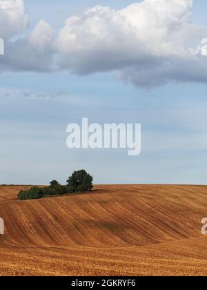 Rollende Felder nach der Ernte mit Schubladen von Bäumen in Südmähren, Tschechische Republik Stockfoto