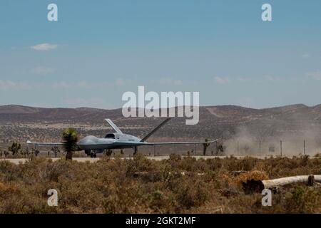 Ein unbemanntes General Atomics MQ-20 Avenger-Fahrzeug bereitet sich auf den Start auf dem Flugplatz El Mirage, Kalifornien, vor. 24. Juni 2021. Das Ziel des Testflugs der MQ-20 mit dem Skyborg Autonomy Core System an Bord und der Teilnahme an Orange Flag 21-2 ist es, eine offene, modulare Architektur zu demonstrieren, die autonom in einer bemannten und unbemannten Umgebung fliegen, navigieren und sicher kommunizieren kann. Stockfoto