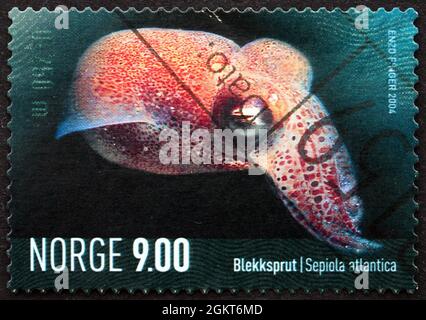 NORWEGEN - UM 2004: Eine in Norwegen gedruckte Marke zeigt Atlantic Bobtail, Sepiola Atlantica, Squid, Marine Life, um 2004 Stockfoto