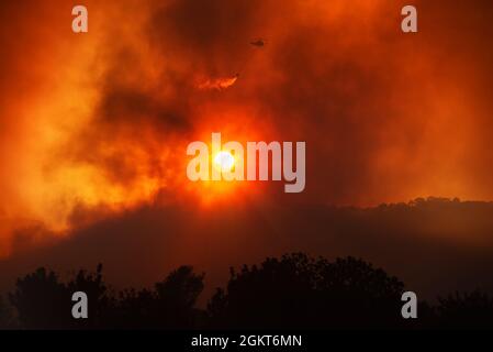 Hubschrauber, der Wasser aus dem Eimer ablässt, bekämpft Waldbrand. Dramatische Landschaft gegen die untergehende Sonne mit rotem Himmel und starkem Rauch Stockfoto