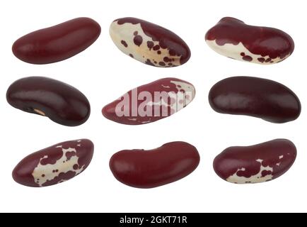 Rote Bohnen isoliert auf weißem Hintergrund Stockfoto