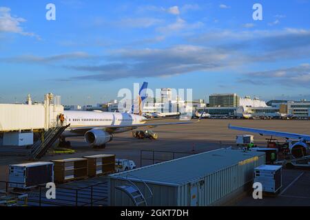 DENVER, CO -10 APR 2021- Ansicht eines Flugzeugs von United Airlines (UA) am Denver International Airport, oder DIA (DEN). Stockfoto