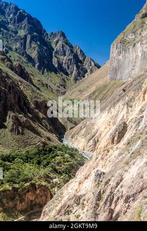 Steile Wände des Colca Canyon in Peru Stockfoto