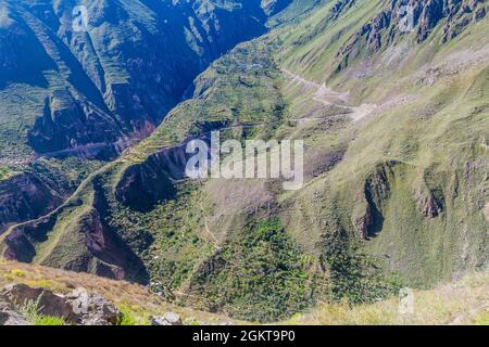 Steile Wände des Colca Canyon, Peru Stockfoto