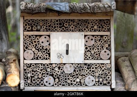 Ein Insektenhaus für Bienen, Fliegen und alle Arten von Insekten im Garten im Frühling. Stockfoto