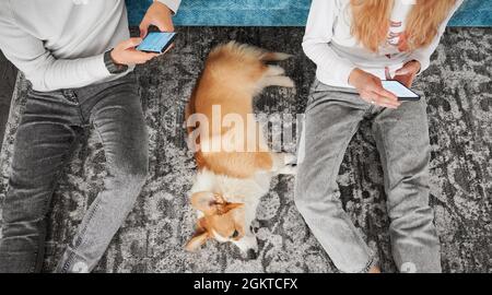 Draufsicht auf das Ehepaar, das auf dem Boden mit entzückenden Corgi sitzt und Mobiltelefone benutzt. Junge Männer und Frauen surfen auf Smartphones im Internet, während sie zu Hause Zeit mit einem niedlichen Hund verbringen. Stockfoto