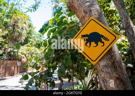 Schwarze Panda Kreuzung Warnung Verkehrsschild auf Baum am Straßenrand Stockfoto