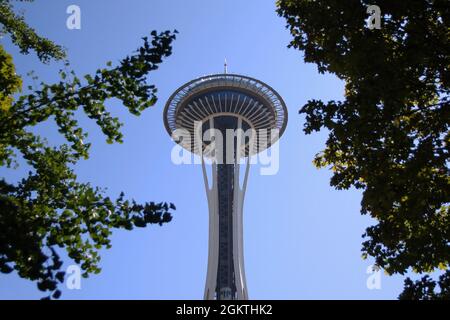 Die spektakuläre Space Needle unter den Bäumen in Seattle Stockfoto