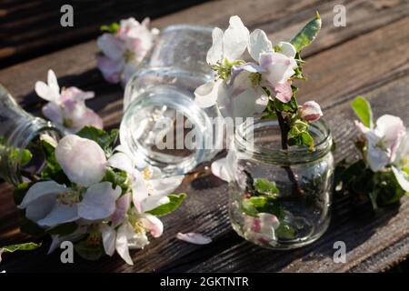 Transparente Glasflaschen und Gläser mit Wasser und Apfelbaumblumen auf einer rustikalen Holzplatte unter fallenden Wassertropfen. Dunkler Hintergrund. Stockfoto