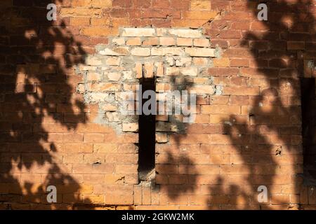 Der Schatten des Baumes fällt auf die Steinmauer. An einer Steinmauer aus Lehmstein ein Schatten an einem sonnigen Tag Stockfoto