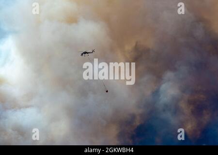 Ein Hubschrauber wirft Wasser auf den Beckwourth Complex Fire 8. Juli 2021 in der Nähe des Frenchman Lake in Nordkalifornien. Zusätzlich zu anderen Ressourcen werden drei Air National Guard C-130s - zwei aus Nevada und eine aus Kalifornien - bei der Bekämpfung des Beckwourth Complex Fire in Nordkalifornien helfen. Das Verteidigungsministerium, durch den Kommandanten des US-Nordkommandos Stockfoto