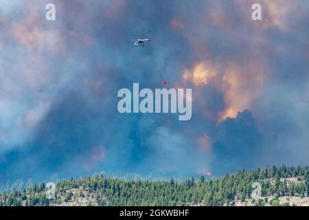 Ein Hubschrauber wirft Wasser auf den Beckwourth Complex Fire 8. Juli 2021 in der Nähe des Frenchman Lake in Nordkalifornien. Zusätzlich zu anderen Ressourcen werden drei Air National Guard C-130s - zwei aus Nevada und eine aus Kalifornien - bei der Bekämpfung des Beckwourth Complex Fire in Nordkalifornien helfen. Das Verteidigungsministerium, durch den Kommandanten des US-Nordkommandos Stockfoto