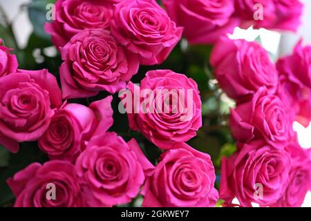 Nahaufnahme eines großen Straußes von rosa Rosen Stockfoto