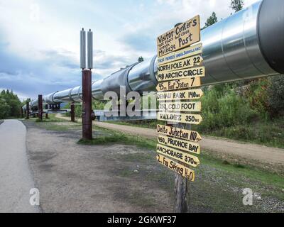 Trans-Alaska-Ölpipeline in der Nähe von Fairbanks, Alaska. Stockfoto