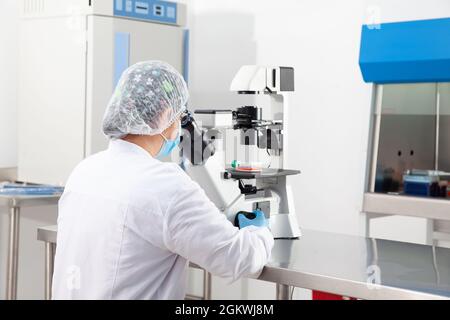 Junge Wissenschaftlerin, die Proben unter dem Mikroskop betrachtet Stockfoto