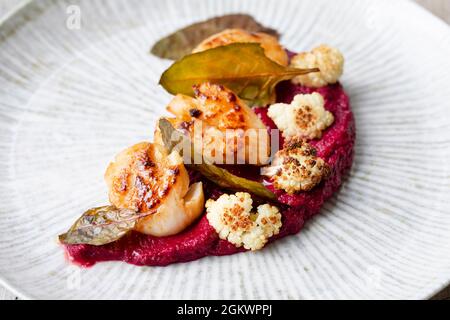 Gebratene Jakobsmuscheln mit Rote-Bete-Püree und Blumenkohl Stockfoto