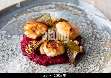 Gebratene Jakobsmuscheln mit Rote-Bete-Püree und Blumenkohl Stockfoto