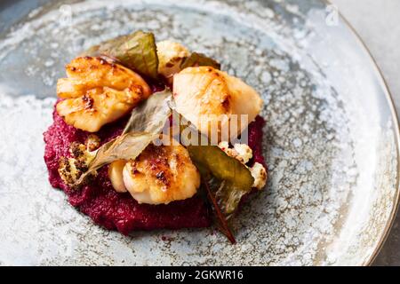 Gebratene Jakobsmuscheln mit Rote-Bete-Püree und Blumenkohl Stockfoto