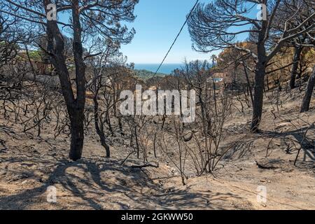 WALDBRÄNDE SCHÄDEN FONT SANT LLORENC WOHNSIEDLUNG LLORET DE MAR COSTA BRAVA GERONA SPANIEN Stockfoto