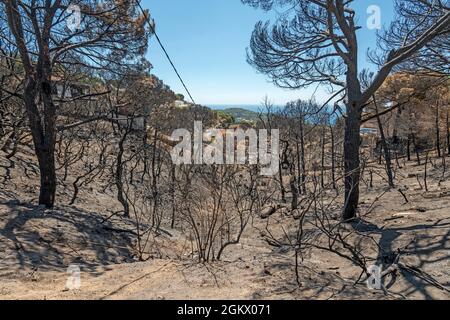 WALDBRÄNDE SCHÄDEN FONT SANT LLORENC WOHNSIEDLUNG LLORET DE MAR COSTA BRAVA GERONA SPANIEN Stockfoto