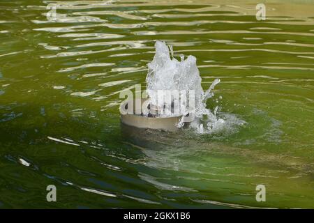 Marseille, Frankreich. September 2021. Nahaufnahme eines Beckens und seines Brunnens im 'Palais de Justice' in Marseille. Kredit: SOPA Images Limited/Alamy Live Nachrichten Stockfoto