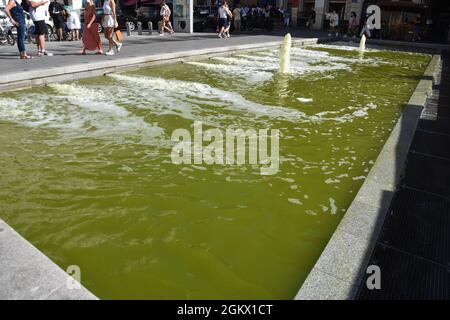 Marseille, Frankreich. September 2021. Die Menschen gehen in der Nähe des Beckens der 'Cours d'Estienne d'Orves' in Marseille. Kredit: SOPA Images Limited/Alamy Live Nachrichten Stockfoto