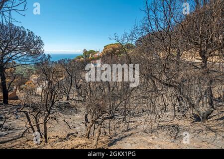 WALDBRÄNDE SCHÄDEN FONT SANT LLORENC WOHNSIEDLUNG LLORET DE MAR COSTA BRAVA GERONA SPANIEN Stockfoto