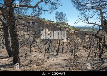 WALDBRÄNDE SCHÄDEN FONT SANT LLORENC WOHNSIEDLUNG LLORET DE MAR COSTA BRAVA GERONA SPANIEN Stockfoto