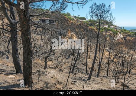 WALDBRÄNDE SCHÄDEN FONT SANT LLORENC WOHNSIEDLUNG LLORET DE MAR COSTA BRAVA GERONA SPANIEN Stockfoto