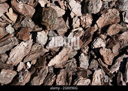 Die Textur von zerdrückter Baumrinde auf einem Nahaufnahme-Hintergrund. Zerkleinerte braune Baumrinde zur Dekoration.Mulchen des Bodens. Dekorative Gartenarbeit qualitativ hochwertiges Foto Stockfoto