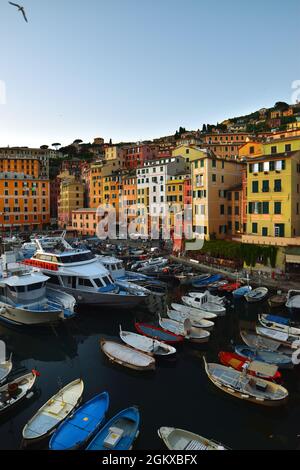 Suggestive Ansicht der charakteristischen farbigen Häuser in Camogli Stockfoto