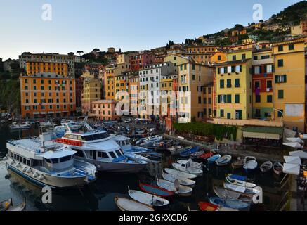 Suggestive Ansicht der charakteristischen farbigen Häuser in Camogli Stockfoto