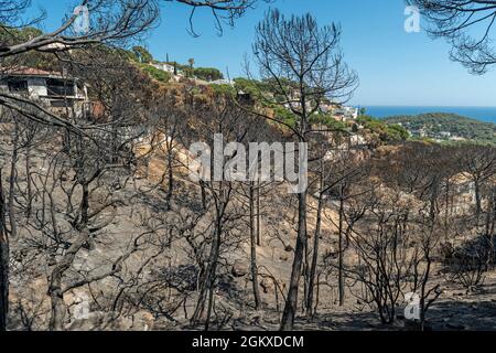 WALDBRÄNDE SCHÄDEN FONT SANT LLORENC WOHNSIEDLUNG LLORET DE MAR COSTA BRAVA GERONA SPANIEN Stockfoto