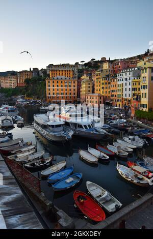 Suggestive Ansicht der charakteristischen farbigen Häuser in Camogli Stockfoto