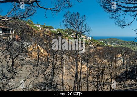 WALDBRÄNDE SCHÄDEN FONT SANT LLORENC WOHNSIEDLUNG LLORET DE MAR COSTA BRAVA GERONA SPANIEN Stockfoto