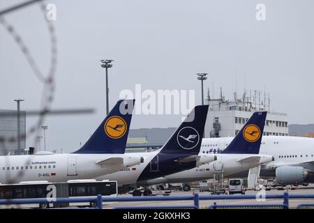 FLUGHAFEN FRANKFURT, DEUTSCHLAND - 11. Jul 2021: Die Lufthansa Airlines fliegt an einem düsteren Tag auf dem Frankfurter Flughafen in Deutschland Stockfoto