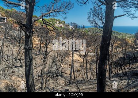 WALDBRÄNDE SCHÄDEN FONT SANT LLORENC WOHNSIEDLUNG LLORET DE MAR COSTA BRAVA GERONA SPANIEN Stockfoto