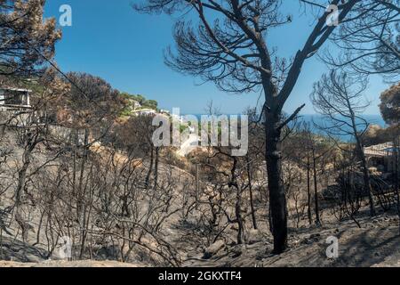 WALDBRÄNDE SCHÄDEN FONT SANT LLORENC WOHNSIEDLUNG LLORET DE MAR COSTA BRAVA GERONA SPANIEN Stockfoto