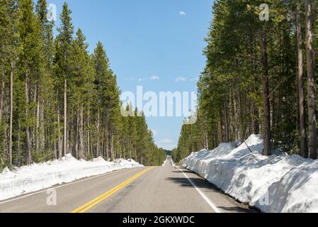 Der Zugang zum Yellowstone National Park erfolgt von Süden aus, mit einer Straße, die von 1 Meter Schnee umgeben ist und einer Reihe von Bäumen auf jeder Seite. Wyoming, United Stat Stockfoto