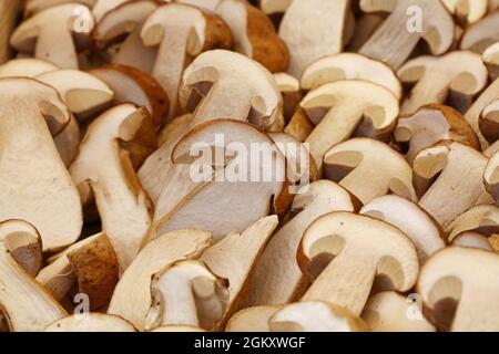 Nahaufnahme von frischen halbierten geschnittenen Steinpilzen (Ceps, Boletus edulis) auf der Einzelhandelsanzeige des Bauernmarktes, Blick aus der Nähe Stockfoto