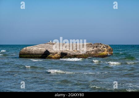 Bunker am Strand von Skagen in Dänemark Stockfoto