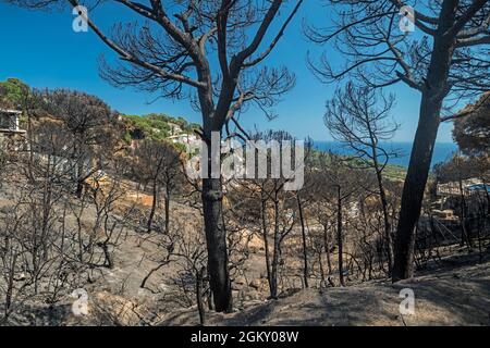 WALDBRÄNDE SCHÄDEN FONT SANT LLORENC WOHNSIEDLUNG LLORET DE MAR COSTA BRAVA GERONA SPANIEN Stockfoto