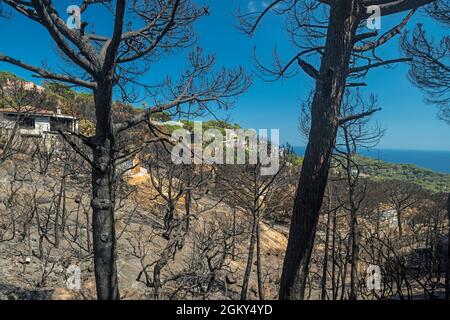 WALDBRÄNDE SCHÄDEN FONT SANT LLORENC WOHNSIEDLUNG LLORET DE MAR COSTA BRAVA GERONA SPANIEN Stockfoto