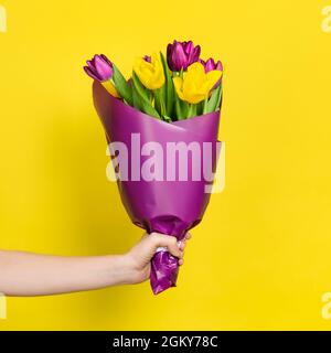Bouquet von gelben und lila Tulpen in der Hand isoliert auf einem gelben Hintergrund. Grußkartenvorlage mit Kopierplatz. Das Konzept des Urlaubs am 8. März Stockfoto
