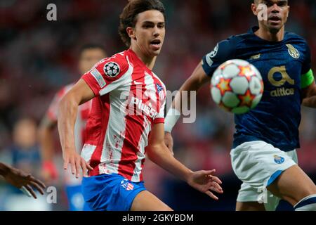 Madrid, Spanien. September 2021. Madrid, Spanien; 15.09.2021.- Atlético de Madrid gegen Porto 1. Etappe des Round Champions League-Spiels, das in Wanda Metropolitan, Madrid, ausgetragen wird. Atletico de Madrid-Spieler Joao Felix und Oporto-Spieler Pepe Kredit: Juan Carlos Rojas/Picture Alliance/dpa/Alamy Live News Stockfoto